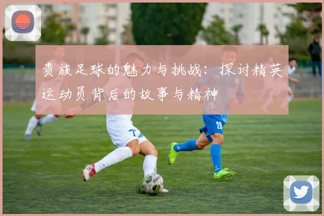 贵族足球的魅力与挑战：探讨精英运动员背后的故事与精神