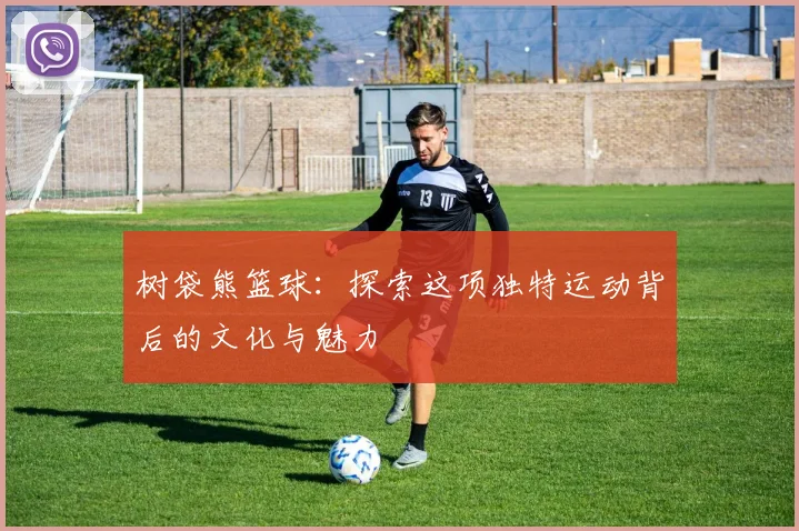 树袋熊篮球：探索这项独特运动背后的文化与魅力