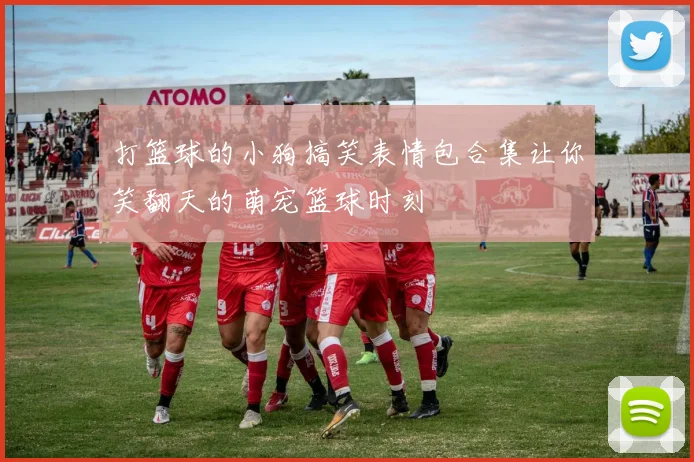 打篮球的小狗搞笑表情包合集让你笑翻天的萌宠篮球时刻
